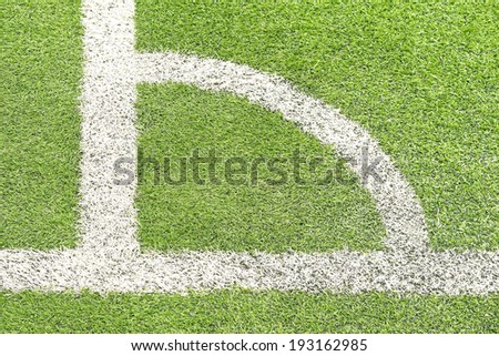 Soccer field detail with white lines