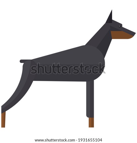 Doberman pinchers angry security dog vector illustration. Purebred pet animal breed. Icon isolated on white background