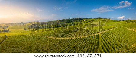 Aerial view of vineyards in Langhe, Piedmont, Italy Royalty-Free Stock Photo #1931671871