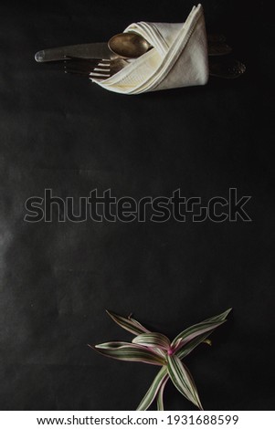 vintage silverware white napkin on black background of natural sunlight, shadow. view of the kitchen table, table setting. Plant branch with moldings Beautiful retro, rustic background, free space.
