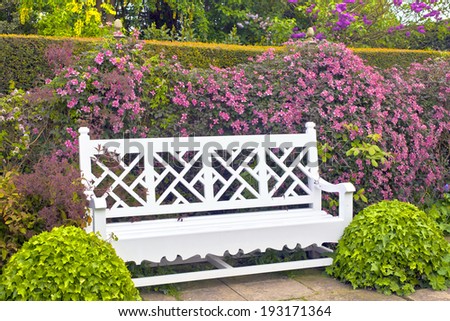 White garden bench with topiary shrubs and pink clematis.