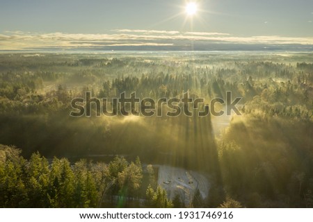 Wonderful foggy morning with an aerial view over a misty forest at the winter season while the sun is warming the treetops.