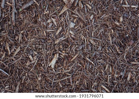 Natural brown forest ground background