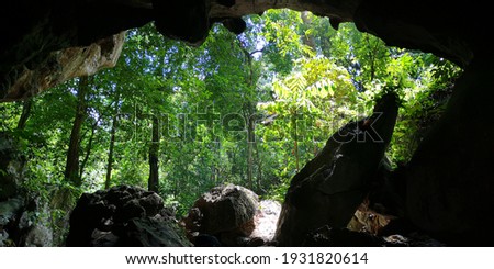 madai baturong cave Kunak Sabah malaysia Royalty-Free Stock Photo #1931820614