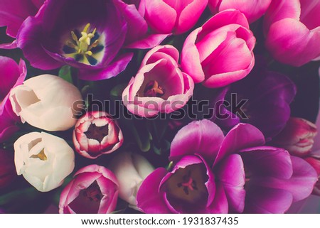 bouquet of tulips, floral background Top view flat lay Happy mother's day, International women's day, Easter concept Holiday card