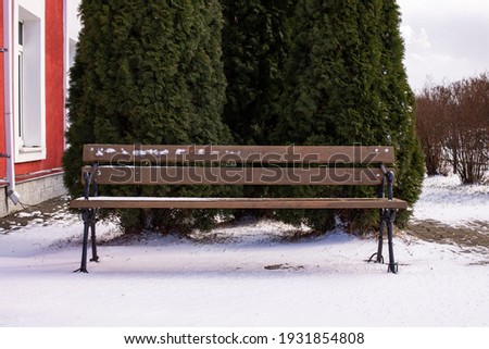 Wooden bench in the snow about the yard close up