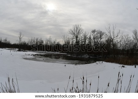 A frozen lake with snow on it. There are cattail reeds along the shore. There are trees in the background. The sky is gray and cloudy. Picture taken in O’Fallon, Missouri.