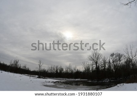 A gray and cloudy sky. The sun is present. There is a frozen lake with geese on it. There are trees in the background. Picture taken in O’Fallon, Missouri.