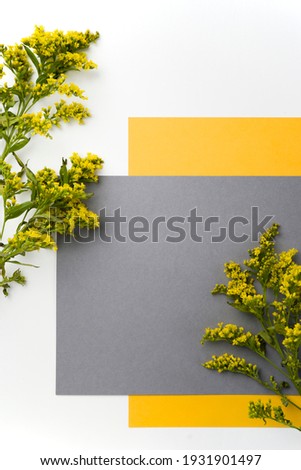 on a white background gray rectangular frame and yellow frame under the grey one. the upper left and lower right corners are decorated with two branches of yellow solidago flowers with green leaves