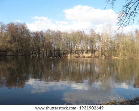 Fantastically beautiful places, pond. Village Ovchvry Czech Republic. forest. wood. scaffold
