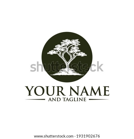 Oak tree logo illustration. Vector silhouette of a tree.