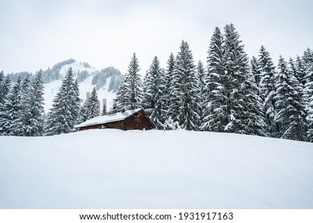 a hut in the winter wonderland in the Kleinwalsertal 