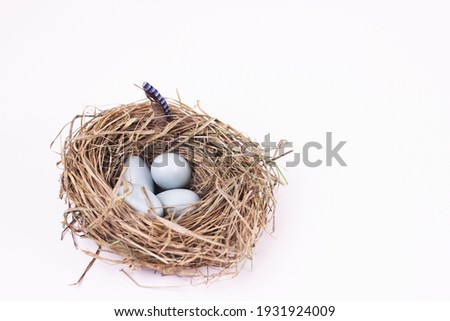  Blackbird eggs in nest isolated on white. Springtime, Happy Easter concept.Copy space for your text or design. Royalty-Free Stock Photo #1931924009
