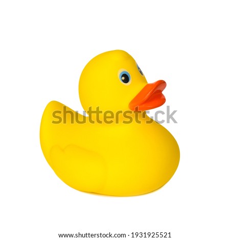 Baby's swimming toy. Toy rubber duck isolated on white background.