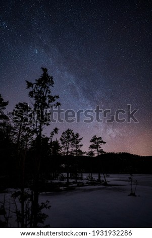 A photo of the Milky Way and silhouette of trees