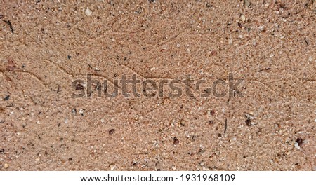 natural sea sand background texture