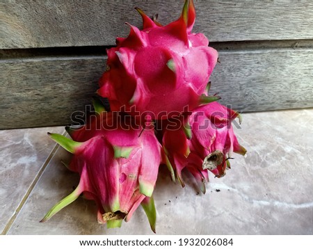 Close up of Red dragon fruits or pitaya fruit. Hylocereus undatus or Pitaya or Pitahaya is the fruit of several different cactus species indigenous to the Americas. Red dragon fruit on plant.