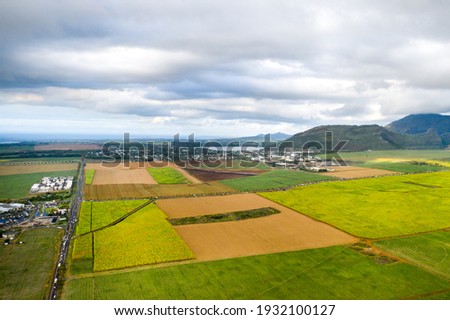 View from the height of the sown fields located on the island of Mauritius.