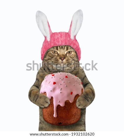 A beige cat in a pink easter bunny hat is holding a easter cake. White background. Isolated.