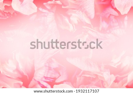 Tender flowers as background. Floral card design