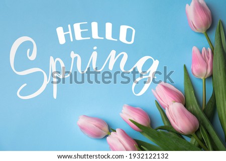 Hello Spring. Beautiful pink tulips on light blue background, flat lay Royalty-Free Stock Photo #1932122132