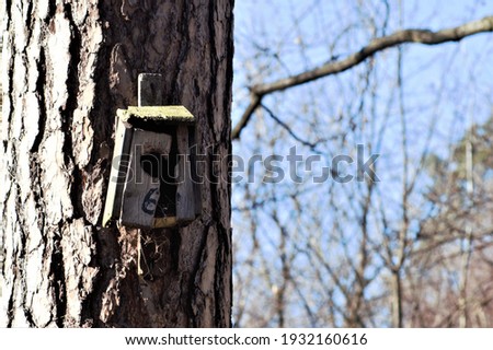 a bird feeder hangs on a tree in the forest. 
dilapidated bird feeder. Feeding birds in winter
