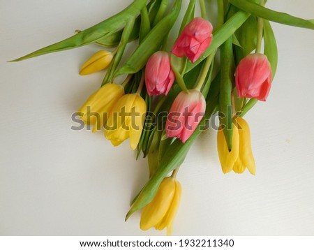 Beautiful bouquet of spring flowers. Tulips on a white background.