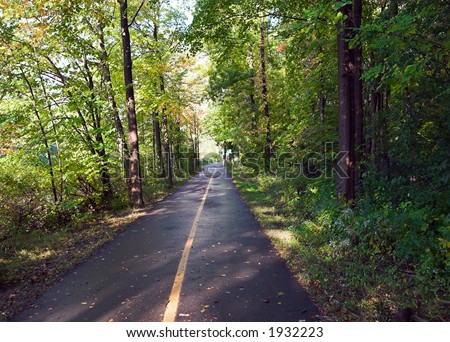 Color DSLR picture of a tarmac bicycle trail though the fall forest.  In horizontal orientation with copy space for text.