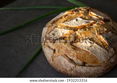 Round artisan bread and green onion on a kitchen table. Homemade sourdough bread recipes. Dark grey background.