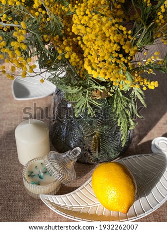Mimosa yellow flowers background pictures