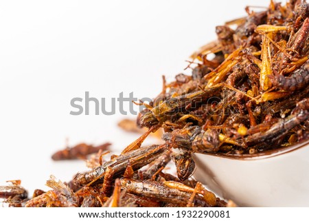 Pure white background characteristic food pepper salt migratory locust