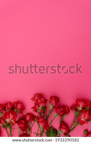 red roses with pink background. Valentine's Day. Love. Vertical natural floral border for your design.