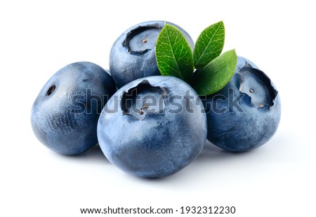 Blueberry isolated. Blueberry with leaves on white. Bilberry on white background. Full depth of field. Royalty-Free Stock Photo #1932312230