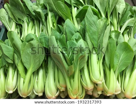 Assortment of whole and sliced raw baby bok choy (Chinese cabbage) over black textured background

 Royalty-Free Stock Photo #1932317393