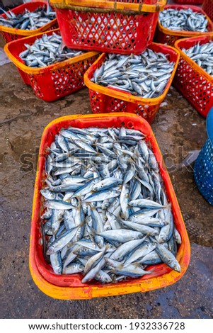 Carangidae or Decapterus are used to steam cooked in Quy Nhon fish market, Vietnam