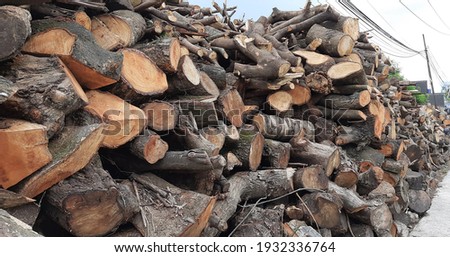 Close up view of the pile of tree trunks