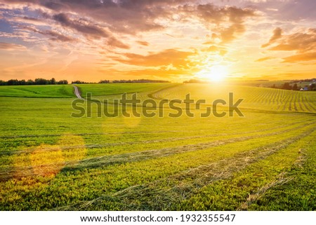 Sunset at cultivated land in the countryside on a summer evening with cloudy sky background. Landscape. Royalty-Free Stock Photo #1932355547