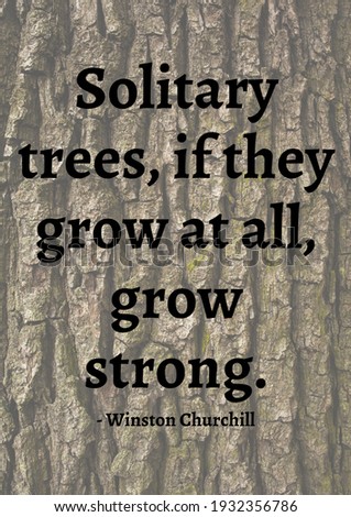 Solitary trees, if they grow at all, grow stronger quote by winston churchill over tree bark. famous quotes, motivation, support and inspiration concept digitally generated image.
