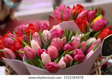 Tulip, tulips bouquet. Present for March 8, International Women's Day. Holiday decor with flowers. Bouquet with colorful tulips. Red tulip, yellow tulip. Holiday floral decor. Spring tulips, bouquet Royalty-Free Stock Photo #1932384878