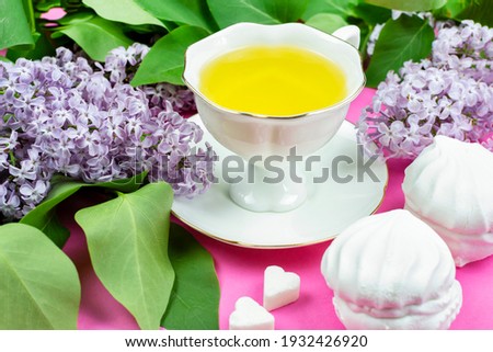 The concept of the celebration. A mug of green tea, sugar cubes, marshmallows and a blooming branch of lilac (syringa) on a bright pink background. Good morning. Birthday greetings, mother's day.