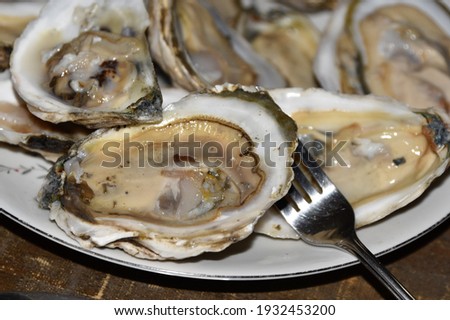 a giant plat of oysters on the half shell on white china, raw oysters, ready to eat.  Select focus, close up, great detail.