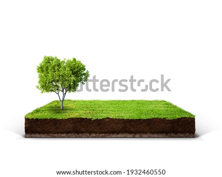 cubical cross section with underground earth soil and green grass on top, cutaway terrain surface with mud and field isolated Royalty-Free Stock Photo #1932460550