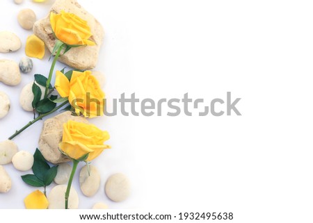 Flower and rose background. Yellow roses with  white stones composition.  Roses and petals isolate on white background. Valentine day concept. Flat lay, top view, copy space