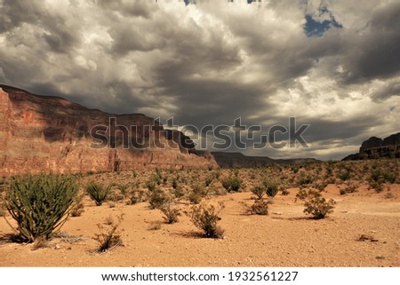 Desert landscapes around the world