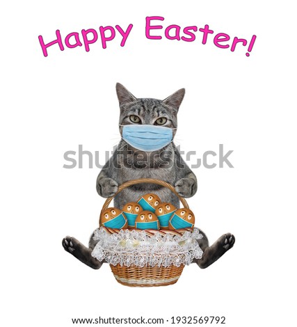 A gray cat in a medical mask is sitting with a wicker basket of colorful easter eggs. White background. Isolated.
