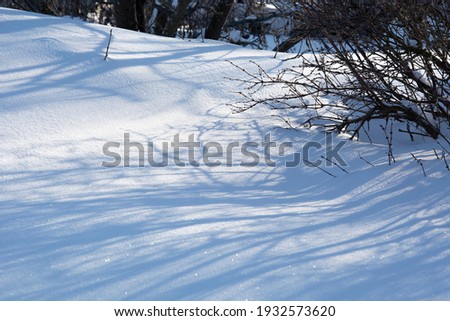 Long shadows from the bushes on the surface of the snow in the garden. Winter day at the dacha.