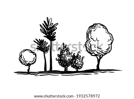 Trees ink sketch isolated on white background. Hand drawn vector illustration. Retro style.