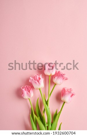 Pink tulip flowers bouquet on front of pink background. Easter Greeting card. With copy space.