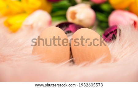 Happy Easter, holiday concept, colorful eggs and tulips
