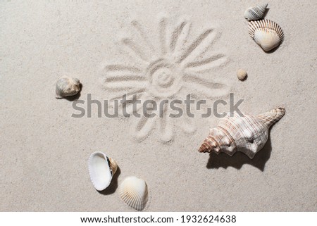 the shells and pebbles lie on the white sand and the sun is drawn in the middle